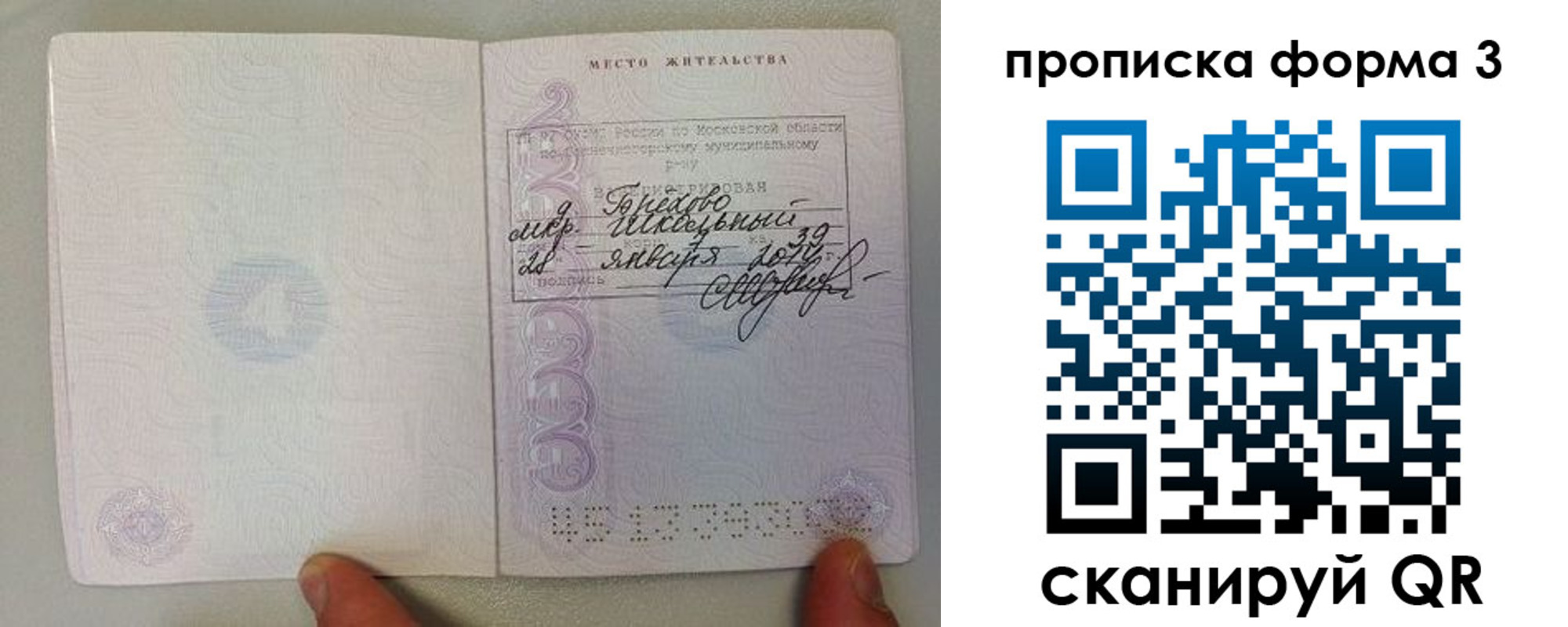 прописка гарантия в Раменском